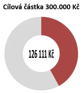 výzva 2024
