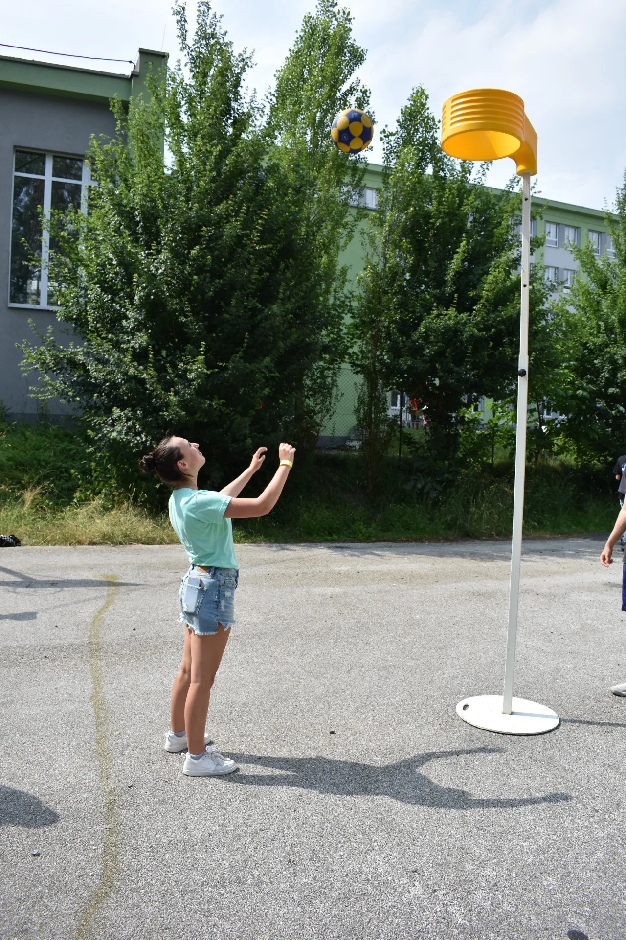 dsc 0113 webp dsc 0113 webp