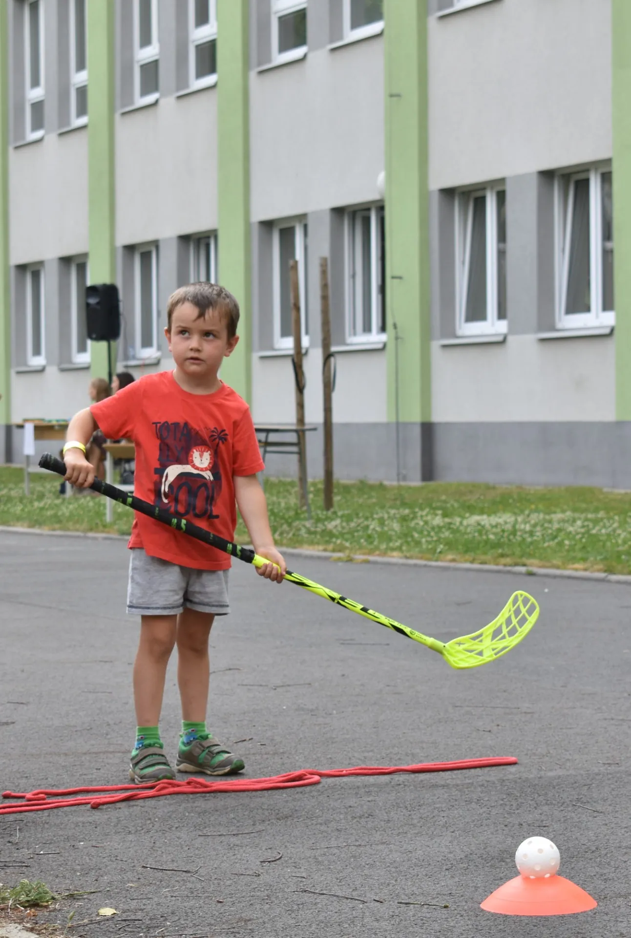 dsc 0133 webp dsc 0133 webp