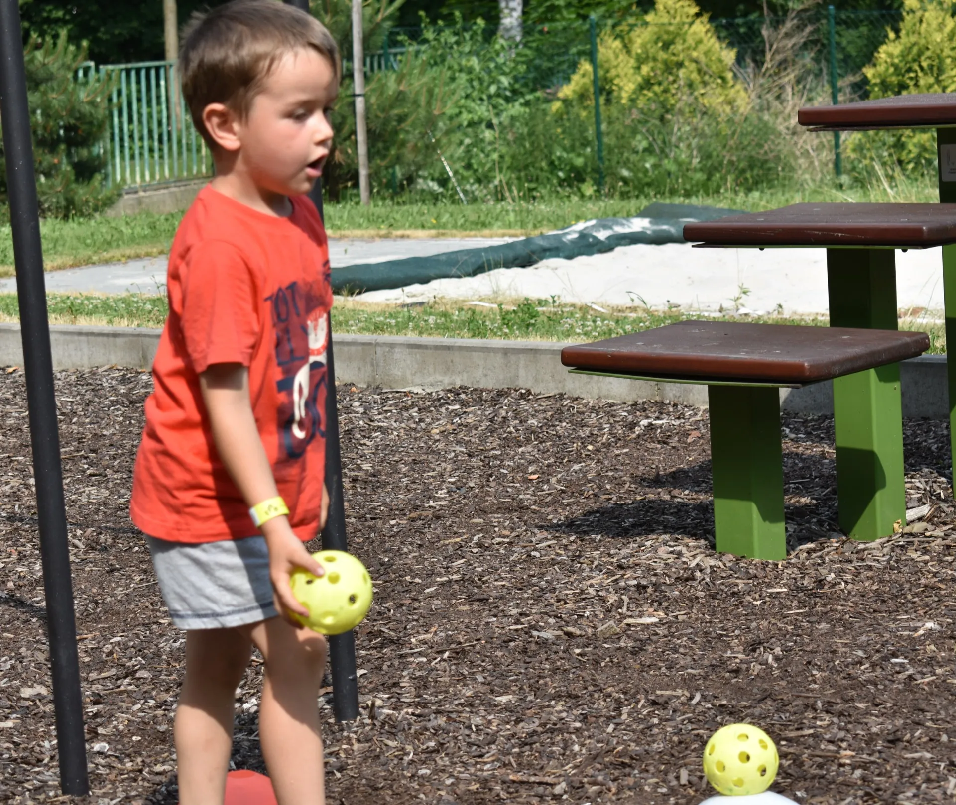 dsc 0136 webp dsc 0136 webp