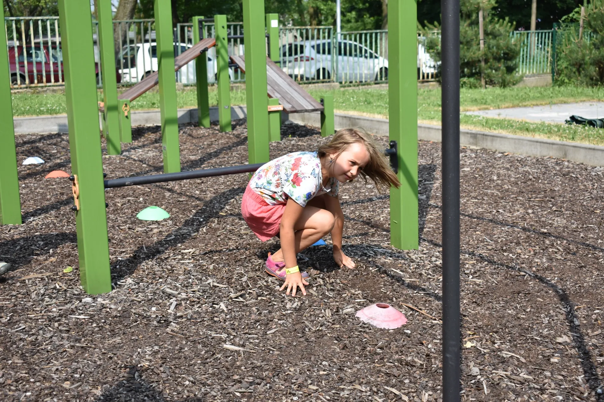 dsc 0139 webp dsc 0139 webp