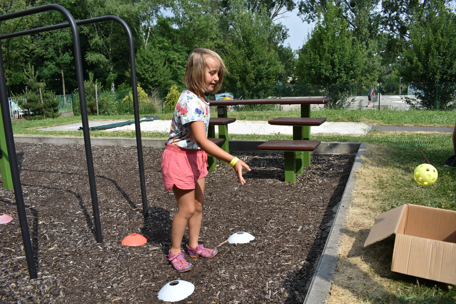 dsc 0140 webp dsc 0140 webp