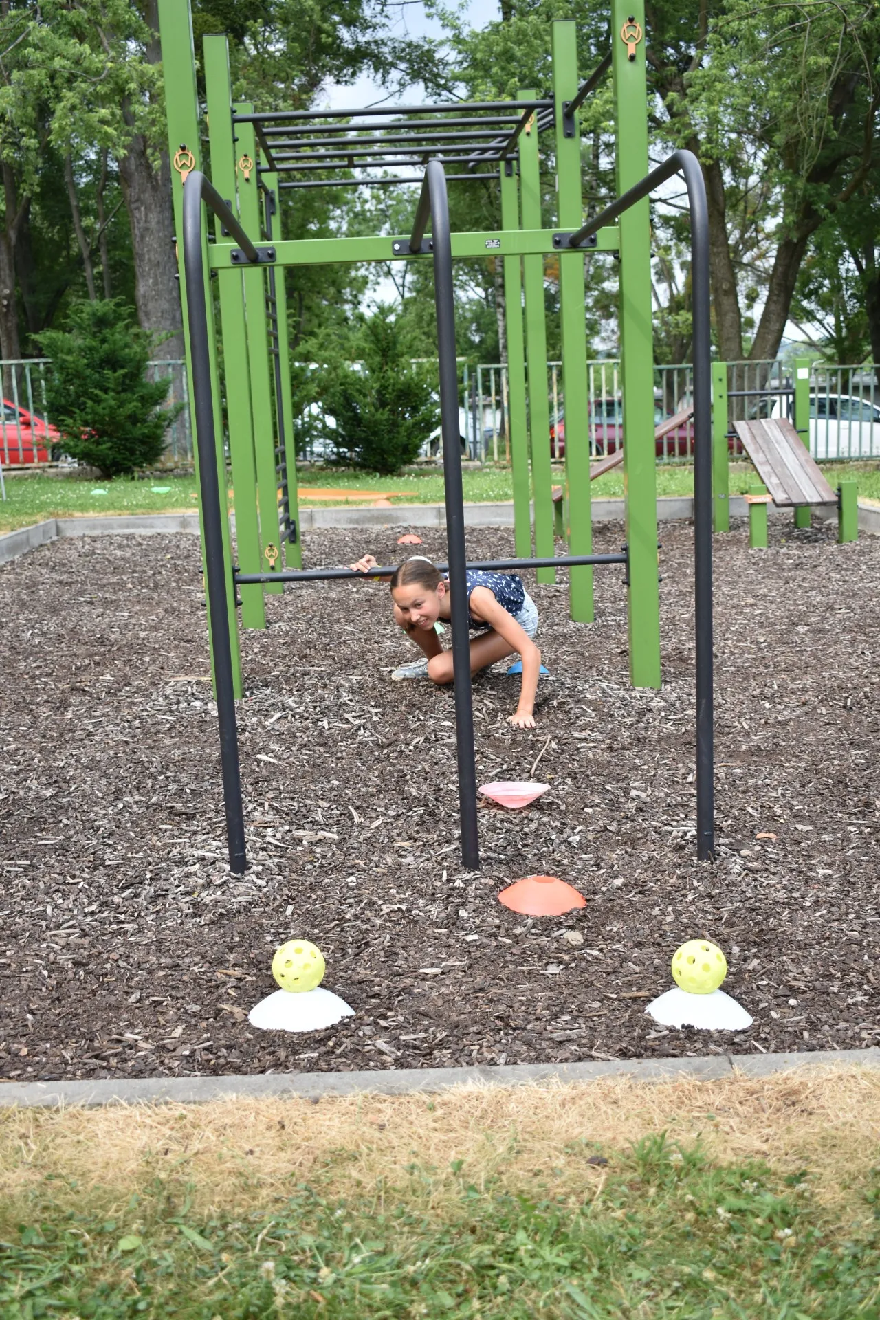 dsc 0168 webp dsc 0168 webp