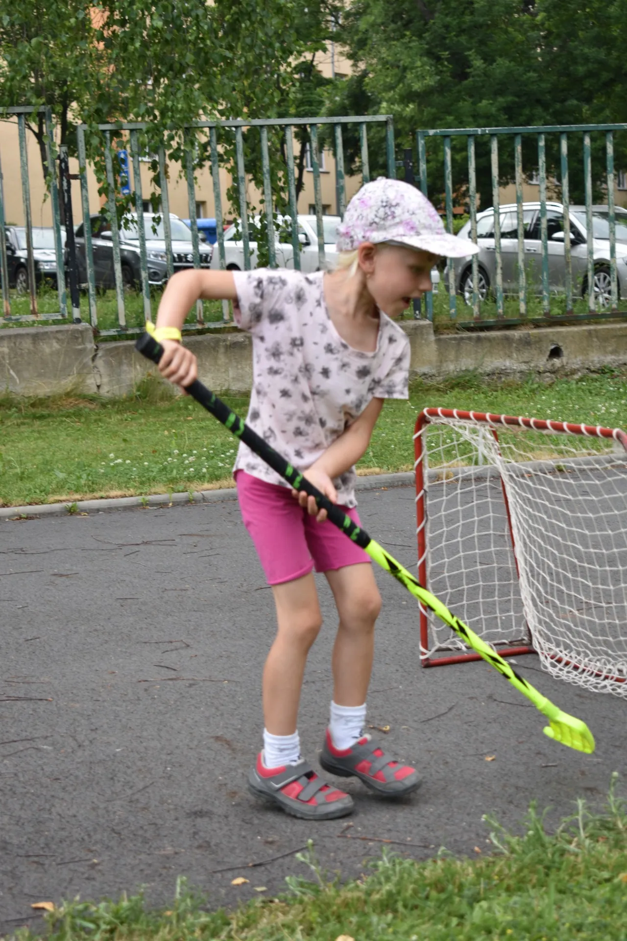 dsc 0177 webp dsc 0177 webp