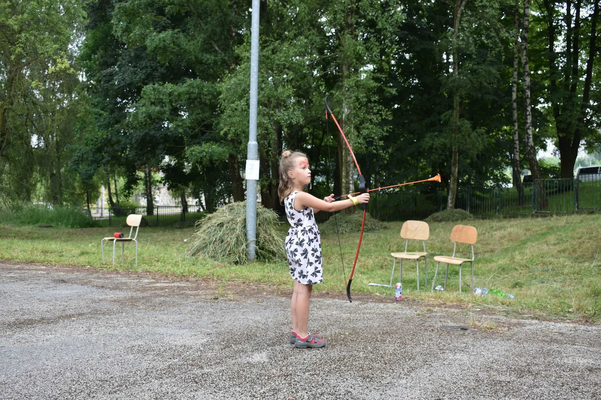 dsc 0215 webp dsc 0215 webp