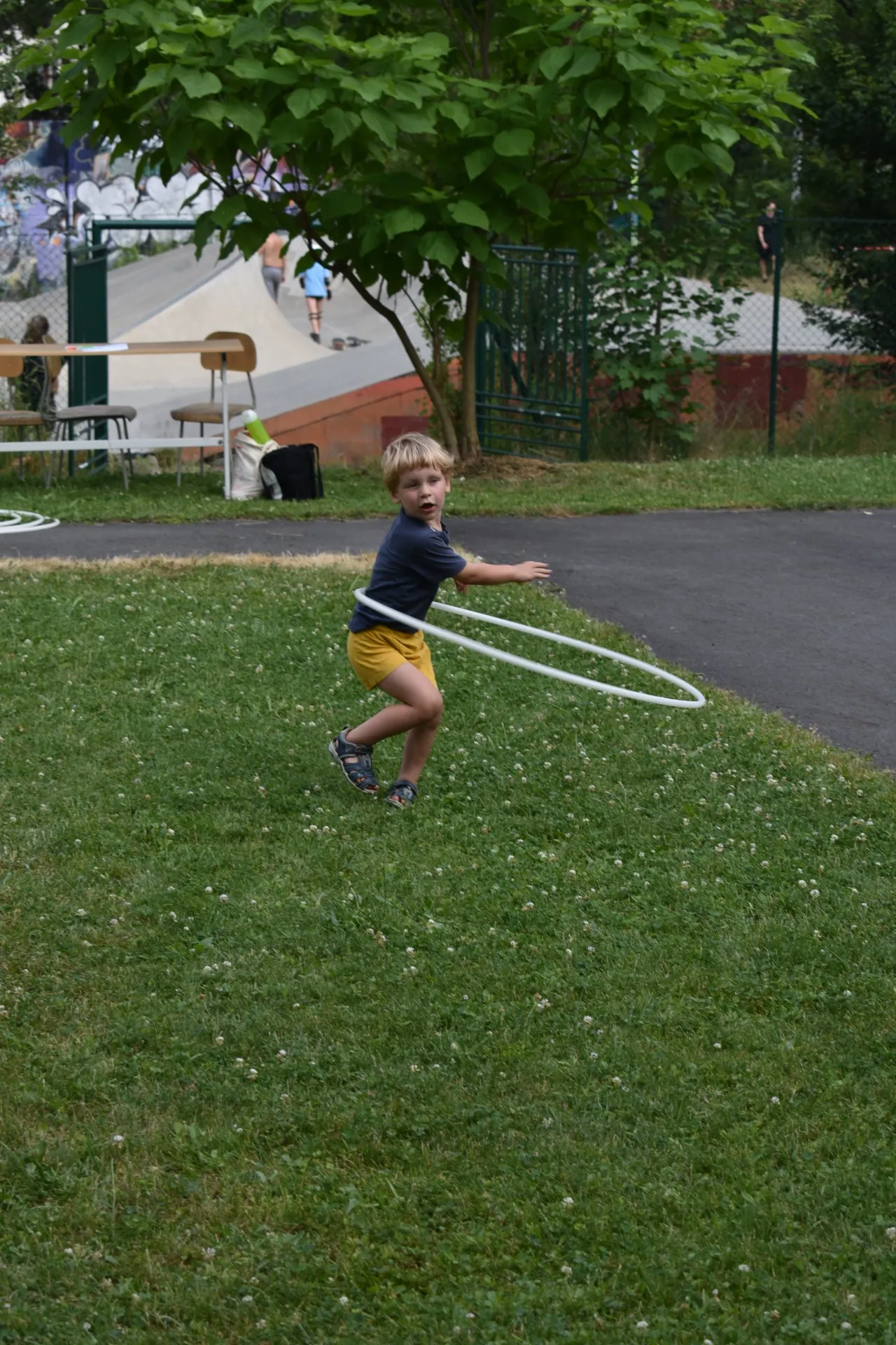 dsc 0264 webp dsc 0264 webp