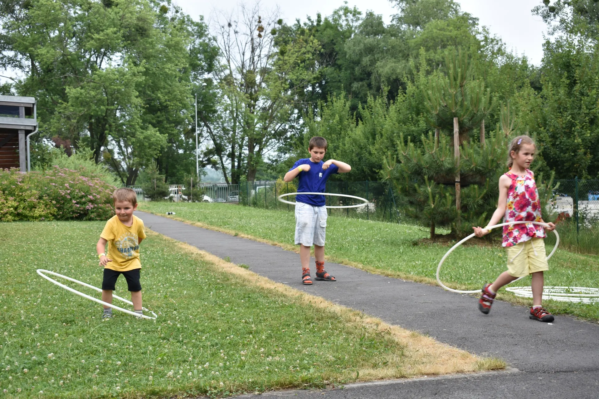 dsc 0333 webp dsc 0333 webp