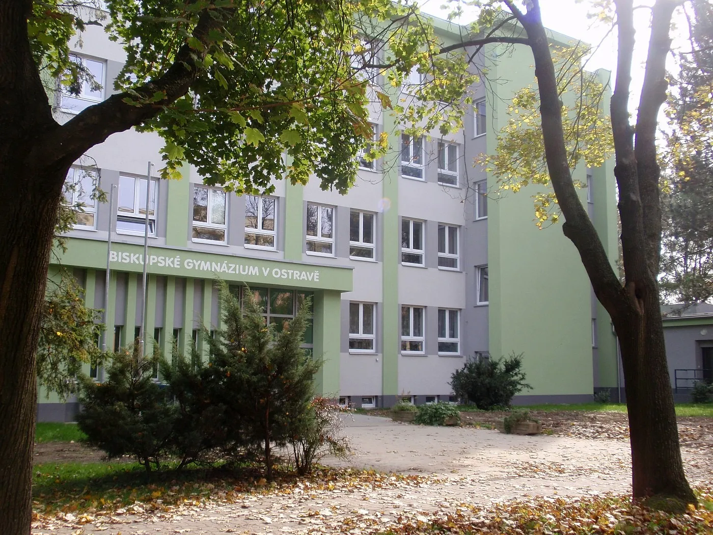 image crop 200000000 7 webp